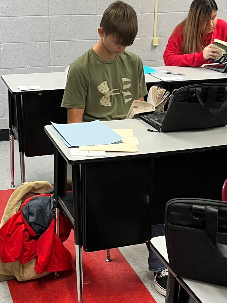 Students in 8th and 9th grade preAP literacy classes were able to choose how to analyze our class novels, either in Literature Circles with discussion groups and job tasks or independently by creating a discussion board with the same material. 