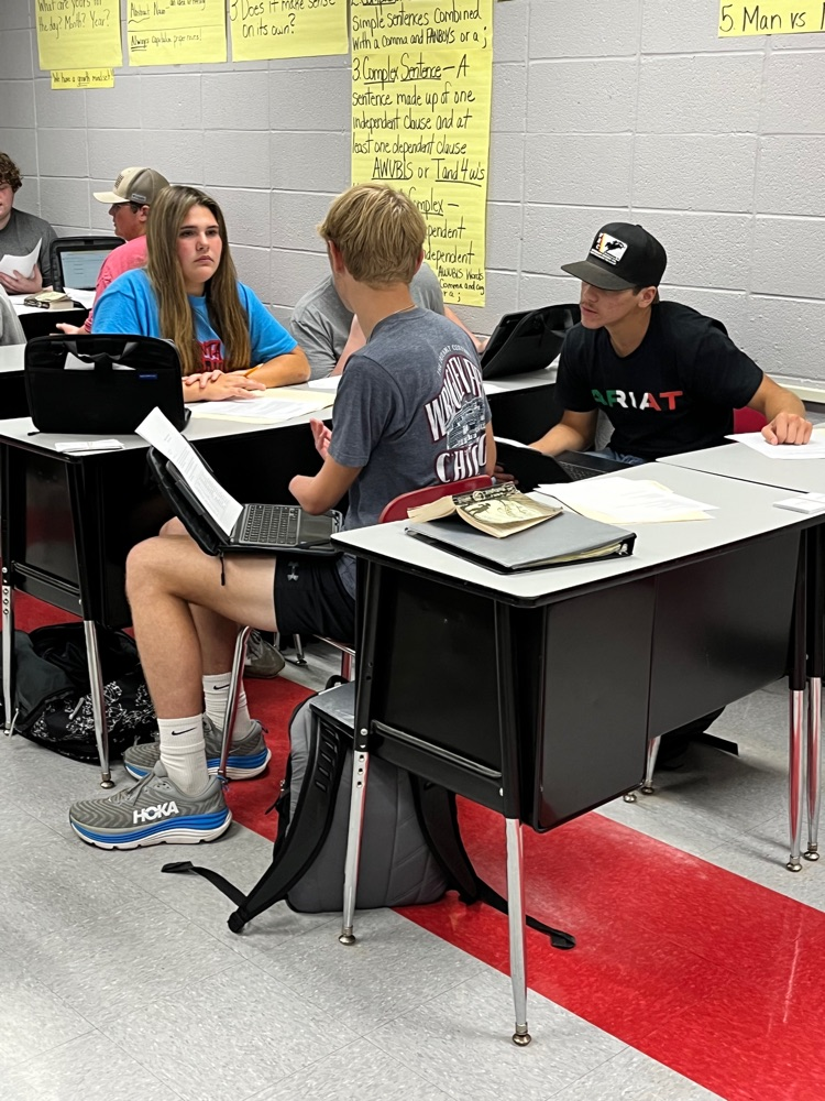 Students in 8th and 9th grade preAP literacy classes were able to choose how to analyze our class novels, either in Literature Circles with discussion groups and job tasks or independently by creating a discussion board with the same material. 