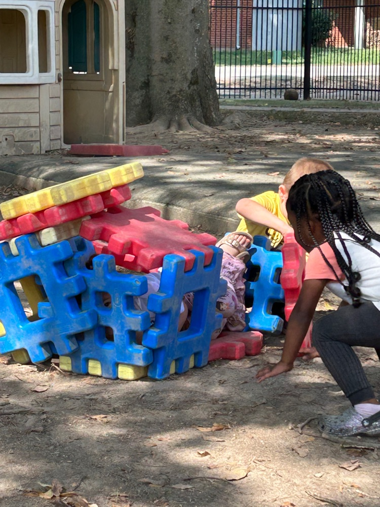 Kids building a house for their “dog”.